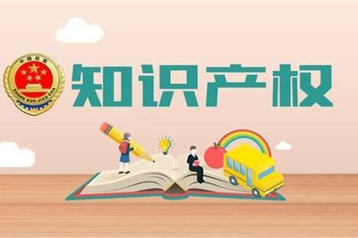 知識產權獲得情況及其對產品服務的技術支撐作用